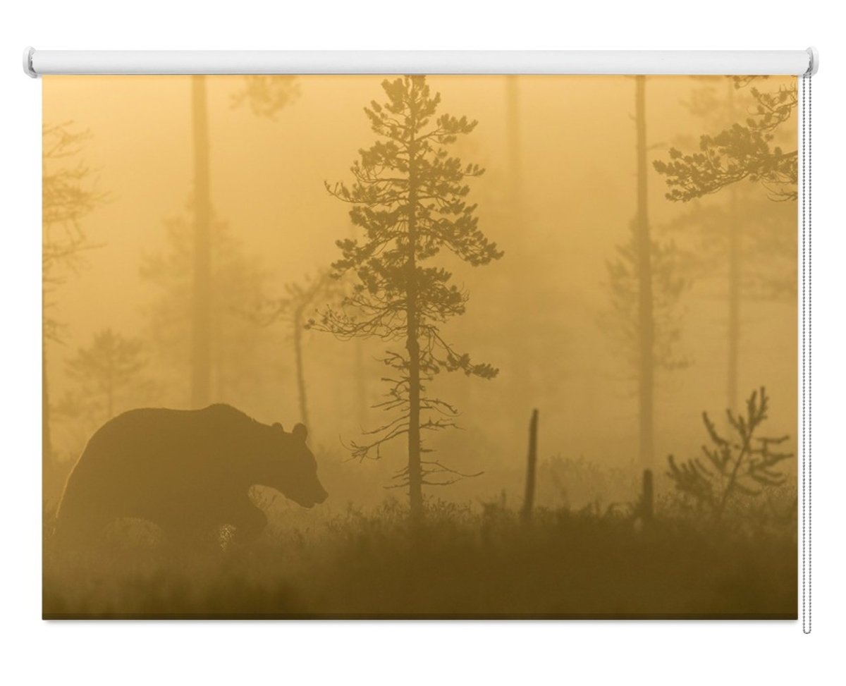 Bear in the Morning Fog Printed Picture Photo Roller Blind - 1X333726 - Art Fever - Art Fever