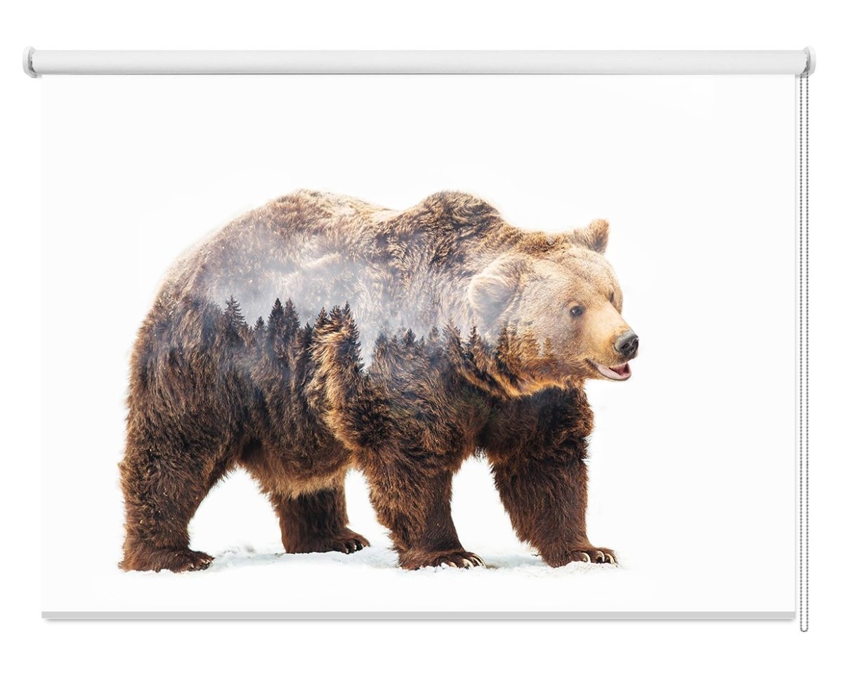 Bear Printed Picture Photo Roller Blind - 1X1517150 - Art Fever - Art Fever