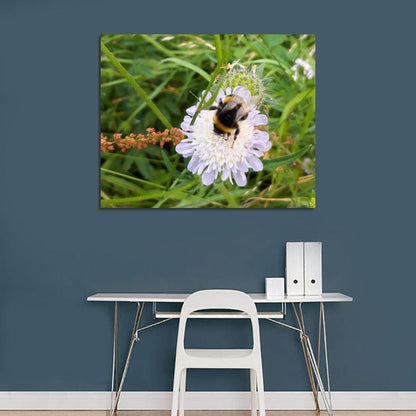 Bee Close Up Floral Canvas Print Wall Art - SH24 - Art Fever - Art Fever