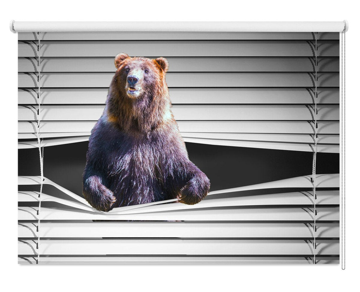 Big Brown Bear Peeking through the blind Printed Picture Photo Roller Blind - RB1281 - Art Fever - Art Fever