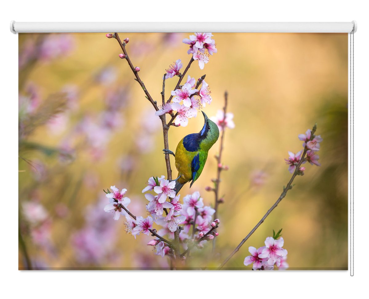 Bird Whispering To The Peach Flower Printed Photo Roller Blind - 1X1118767 - Art Fever - Art Fever