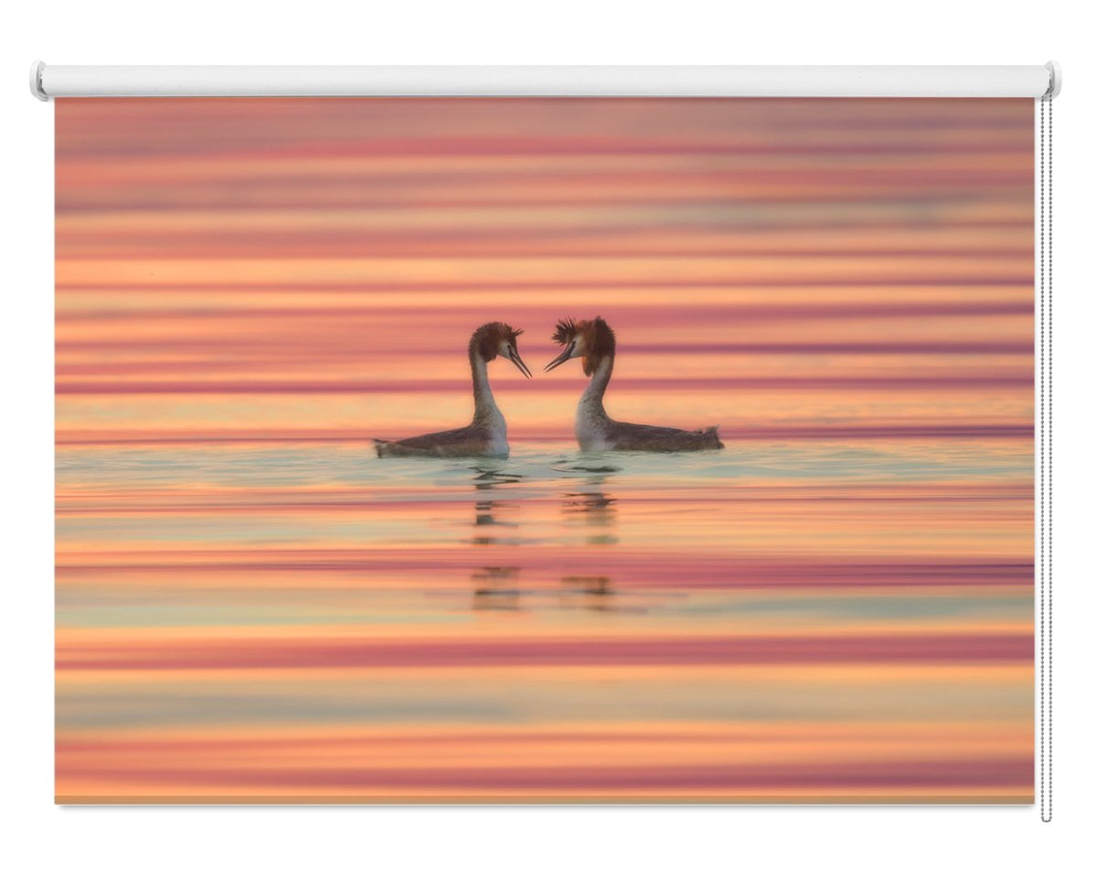 Birds in Garda Lake Printed Photo Roller Blind - 1X1303402 - Art Fever - Art Fever