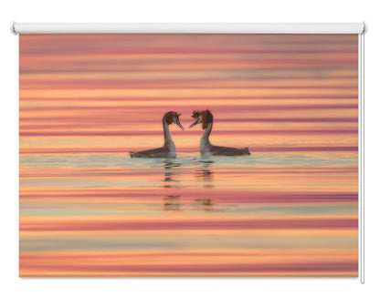 Birds in Garda Lake Printed Photo Roller Blind - 1X1303402 - Art Fever - Art Fever