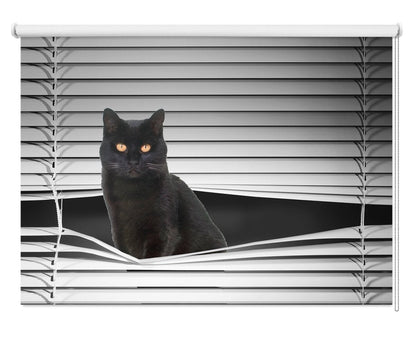 Black Cat Peeking through the blind Printed Picture Photo Roller Blind - RB1130 - Art Fever - Art Fever