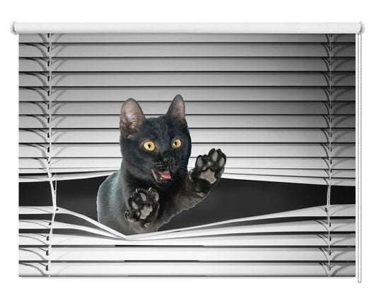 Black Kitten Peeking through the blind Printed Picture Photo Roller Blind - RB1132 - Art Fever - Art Fever