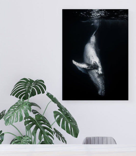 Black Whale Underwater Canvas Print Wall Art - 1X735926 - Art Fever - Art Fever