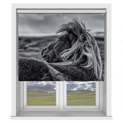 Black & White Horse Glance Back Printed Picture Photo Roller Blind - 1X1746781 - Pictufy - Art Fever