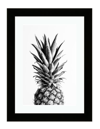 Black & White Pineapple Botanical Wall Art Framed Mounted Print Picture - FP-1X_12 - Art Fever - Art Fever