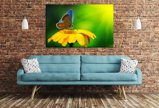 Blue Butterfly Image Printed Onto A Single Panel Canvas - SPC140 - Art Fever - Art Fever