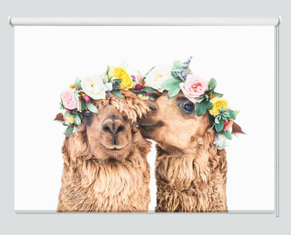 Boho Alpacas Printed Picture Photo Roller Blind - 1X2382019 - Art Fever - Art Fever