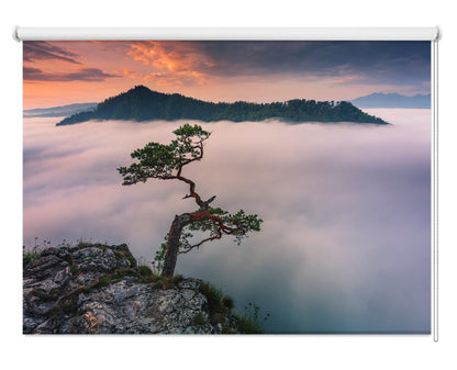 Bonsai Tree over the clouds Printed Photo Roller Blind - 1X1853971 - Art Fever - Art Fever