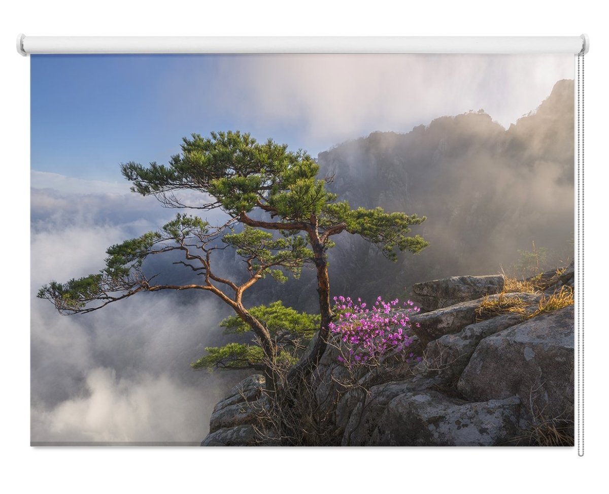 Bonsai Tree Upon the Clouds Printed Picture Photo Roller Blind - 1X1856401 - Art Fever - Art Fever