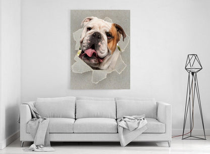 Bulldog Peeking through the Canvas Dog Scene Printed Canvas Print Picture - SPC188 - Art Fever - Art Fever