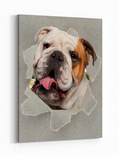 Bulldog Peeking through the Canvas Dog Scene Printed Canvas Print Picture - SPC188 - Art Fever - Art Fever