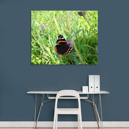 Butterfly Close Up Floral Canvas Print Wall Art - SH23 - Art Fever - Art Fever