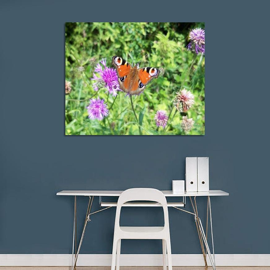 Butterfly on the Flower Canvas Print Wall Art - SH22 - Art Fever - Art Fever
