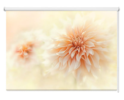 Cafe 'Au lait' Dahlia Pastel Flower Printed Picture Photo Roller Blind - 1X1582528 - Art Fever - Art Fever