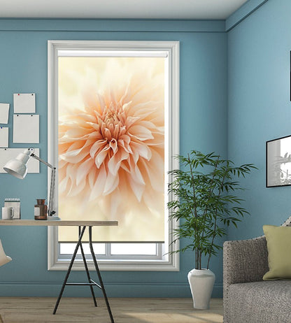 Cafe 'Au lait' Dahlia Pastel Flower Printed Picture Photo Roller Blind - 1X1582528 - Art Fever - Art Fever