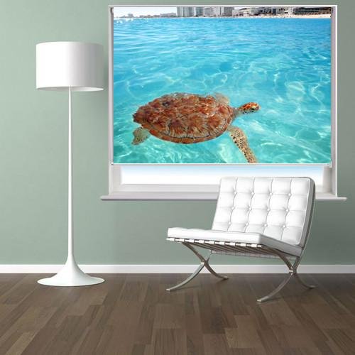 Cancun Turtle Printed Photo Picture Roller Blind - RB56 - Art Fever - Art Fever