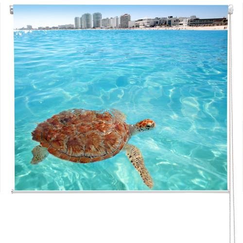 Cancun Turtle Printed Photo Picture Roller Blind - RB56 - Art Fever - Art Fever