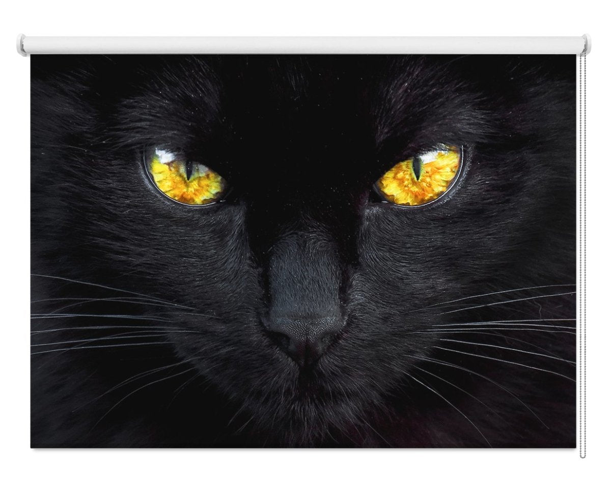 Cat Eyes Printed Picture Photo Roller Blind- 1X112489 - Art Fever - Art Fever