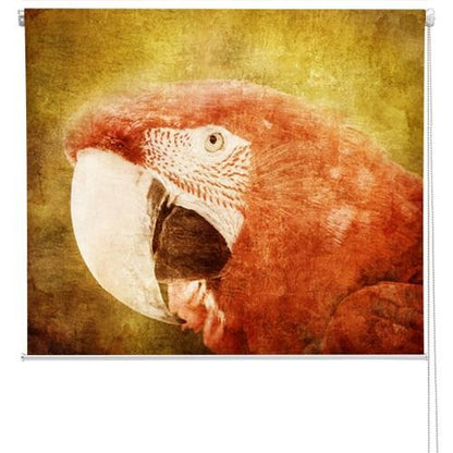 close up parrot Grunge Effect Printed Picture Photo Roller Blind - RB174 - Art Fever - Art Fever