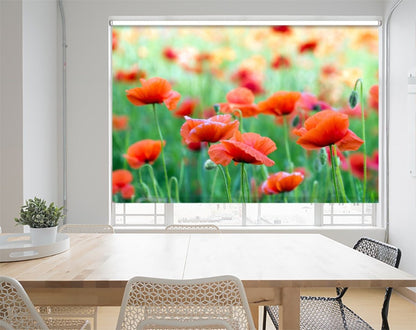Close Up Poppy Field Printed Picture Photo Roller Blind - RB1093 - Art Fever - Art Fever