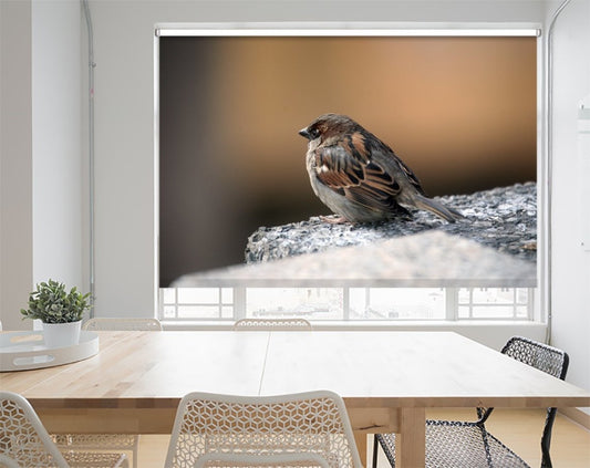 Close up Sparrow Printed Picture Photo Roller Blind - RB1084 - Art Fever - Art Fever