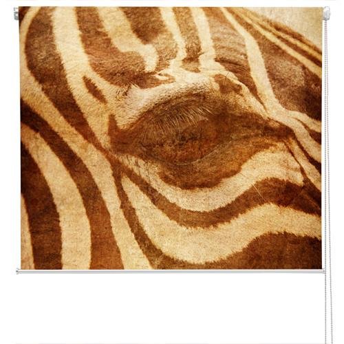 Close up zebra eye Printed Picture Photo Roller Blind - RB172 - Art Fever - Art Fever