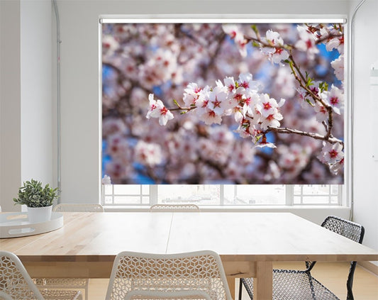 Cluster Of Pink Flowers Of Apricot Tree Printed Picture Photo Roller Blind - RB1086 - Art Fever - Art Fever