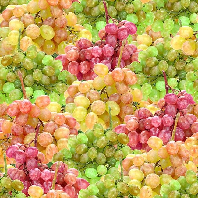 Colourful Grapes Printed Photo Picture Kitchen Roller Blind - RB436 - Art Fever - Art Fever