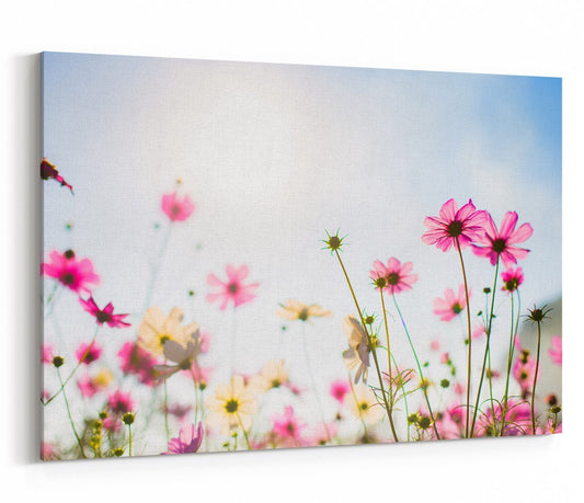 Cosmos Flowers In Bokeh Background Canvas Print Picture - SPC251 - Art Fever - Art Fever