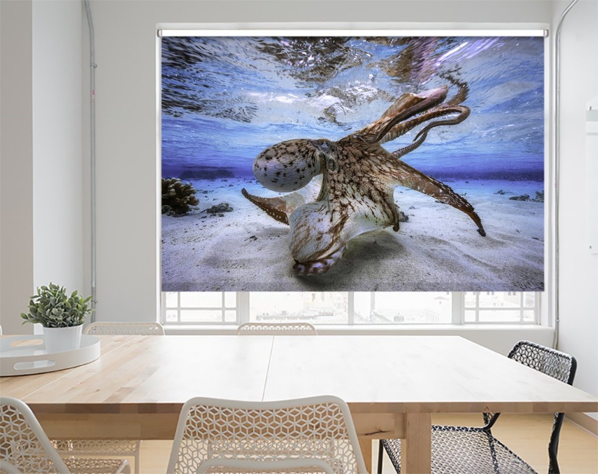 Dancing Octopus Underwater roller Blind | Photo Printed Window Blinds ...