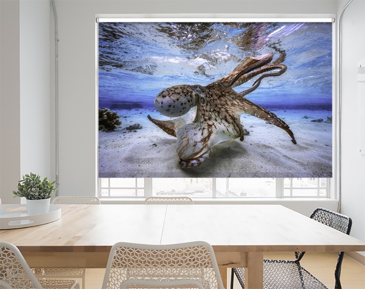 Dancing Octopus Underwater Printed Picture Photo Roller Blind - 1X1139933 - Art Fever - Art Fever