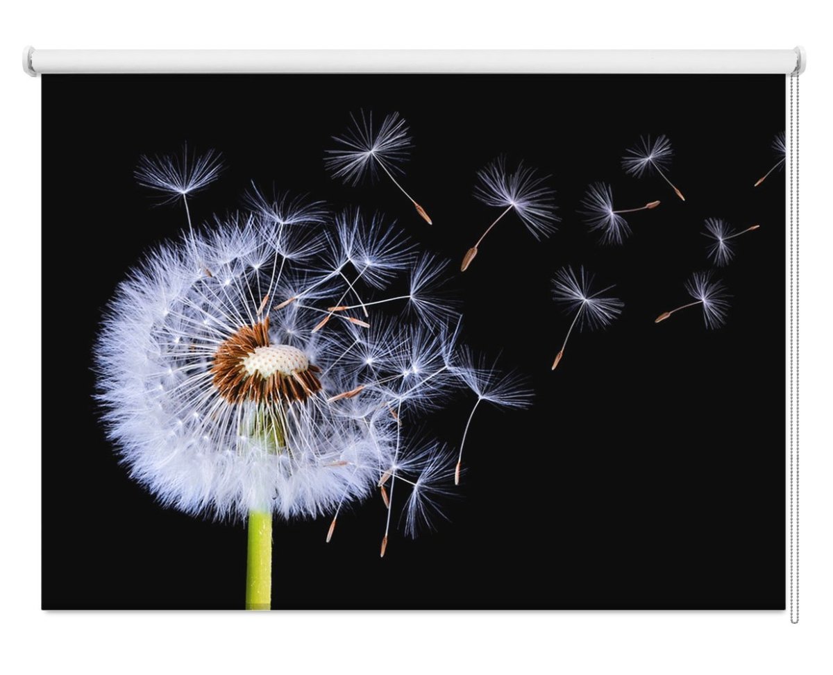 Dandelion Blowing Printed Picture Photo Roller Blind - 1X1316463 - Art Fever - Art Fever