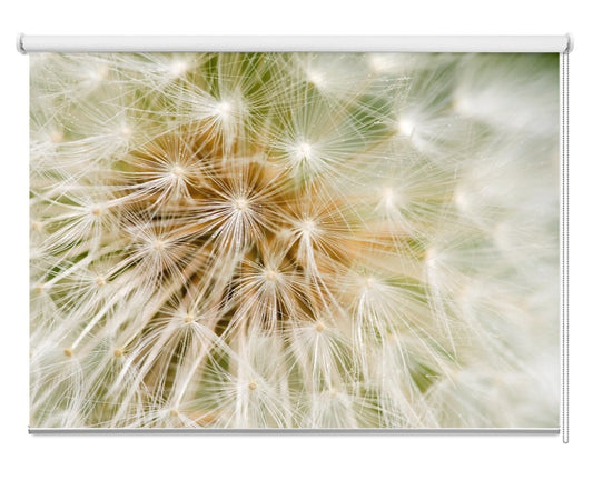 Dandelion Flower Printed Picture Photo Roller Blind - RB1075 - Art Fever - Art Fever