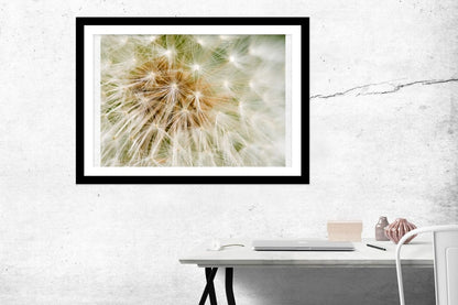Dandelion Seed Close Up Framed Mounted Print Picture - FP50 - Art Fever - Art Fever
