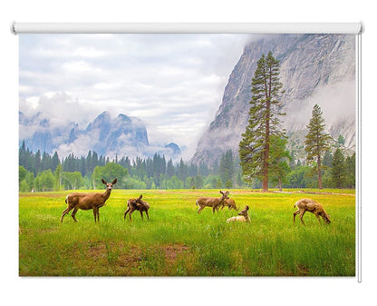 Deer at Yosemite National Park Printed Picture Photo Roller Blind - 1X1010689 - Art Fever - Art Fever