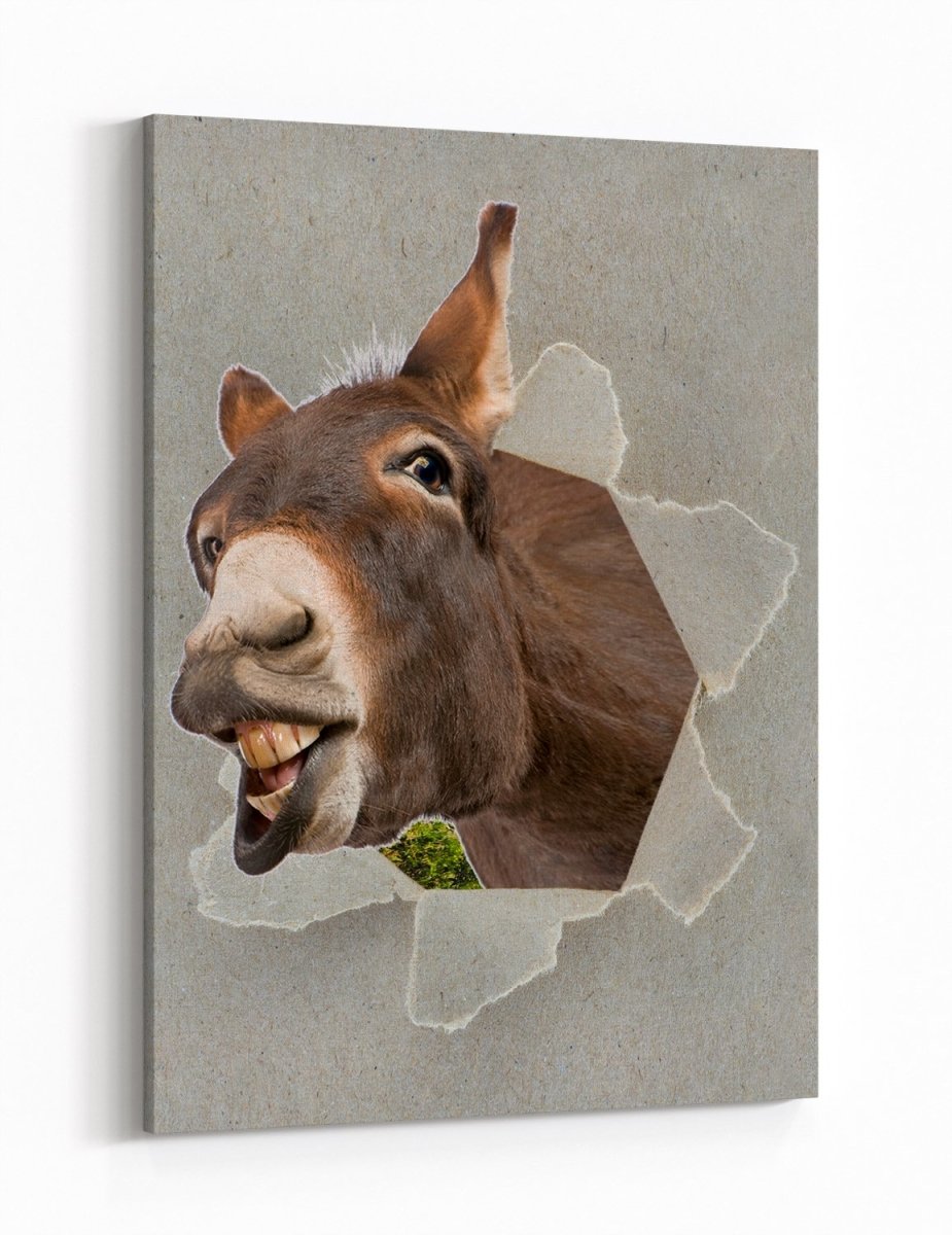 Donkey Peeking through the Canvas Animal Scene Printed Canvas Print Picture - SPC187 - Art Fever - Art Fever