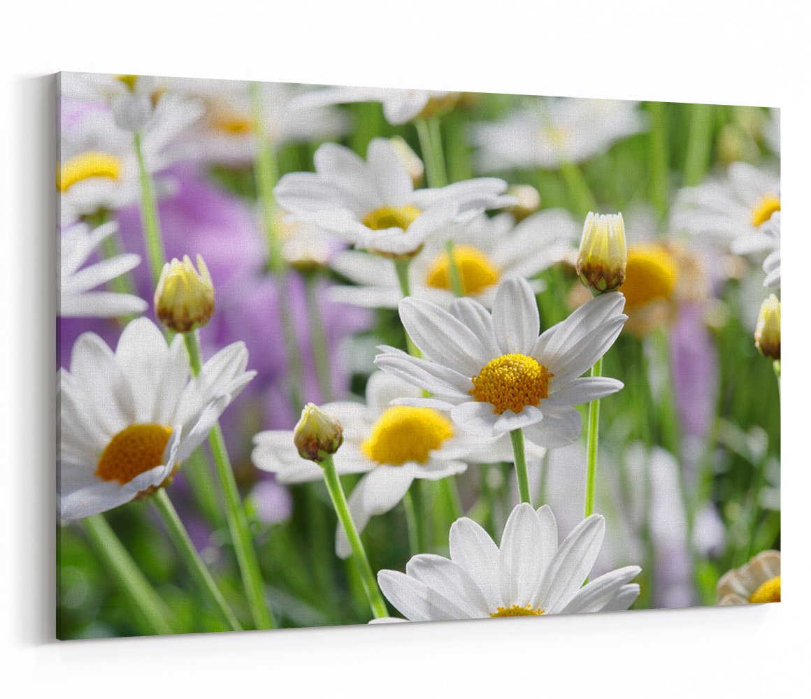 Early Summer Flowers Canvas Print Picture - SPC267 - Art Fever - Art Fever