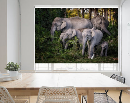 Elephant Family Printed Picture Photo Roller Blind- 1X1064409 - Art Fever - Art Fever