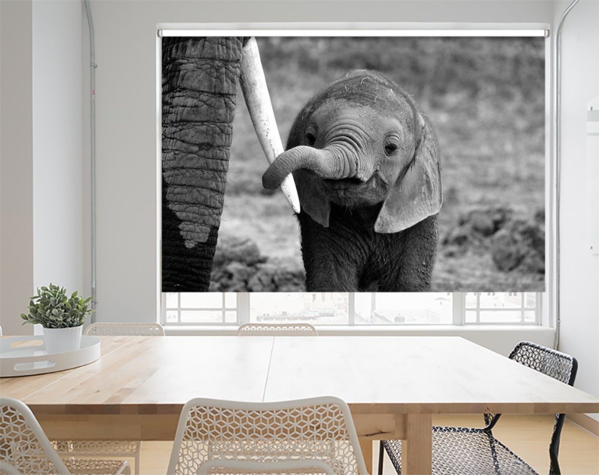 Elephant Family Printed Picture Photo Roller Blind - 1X771686 - Art Fever - Art Fever