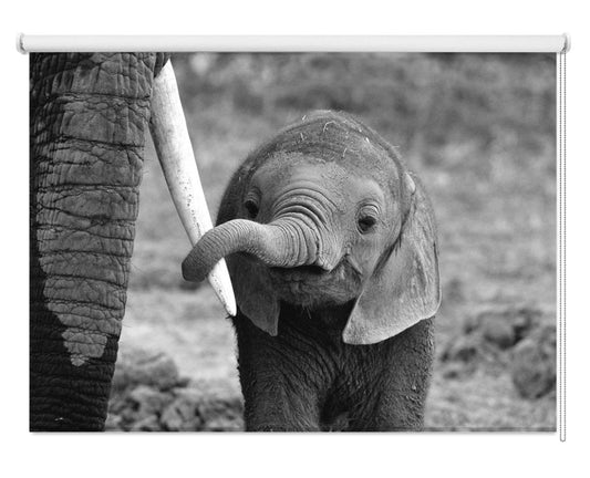 Elephant Family Printed Picture Photo Roller Blind - 1X771686 - Art Fever - Art Fever