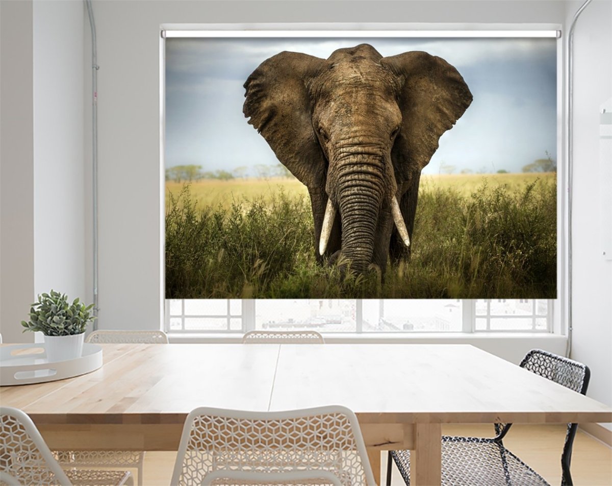 Elephant in Serengeti Printed Picture Photo Roller Blind - 1X358320 - Art Fever - Art Fever