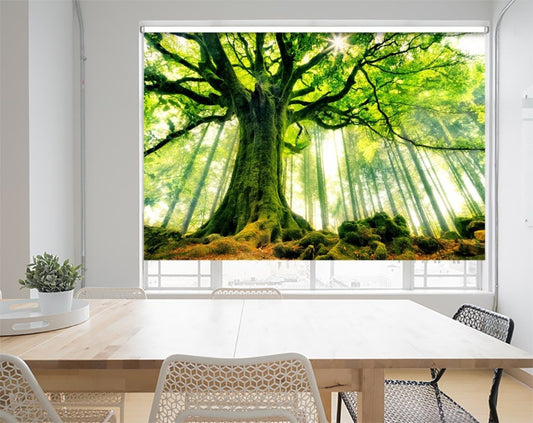 Fantasy Forest Beech Tree Printed Picture Photo Roller Blind - 1X60607 - Art Fever - Art Fever