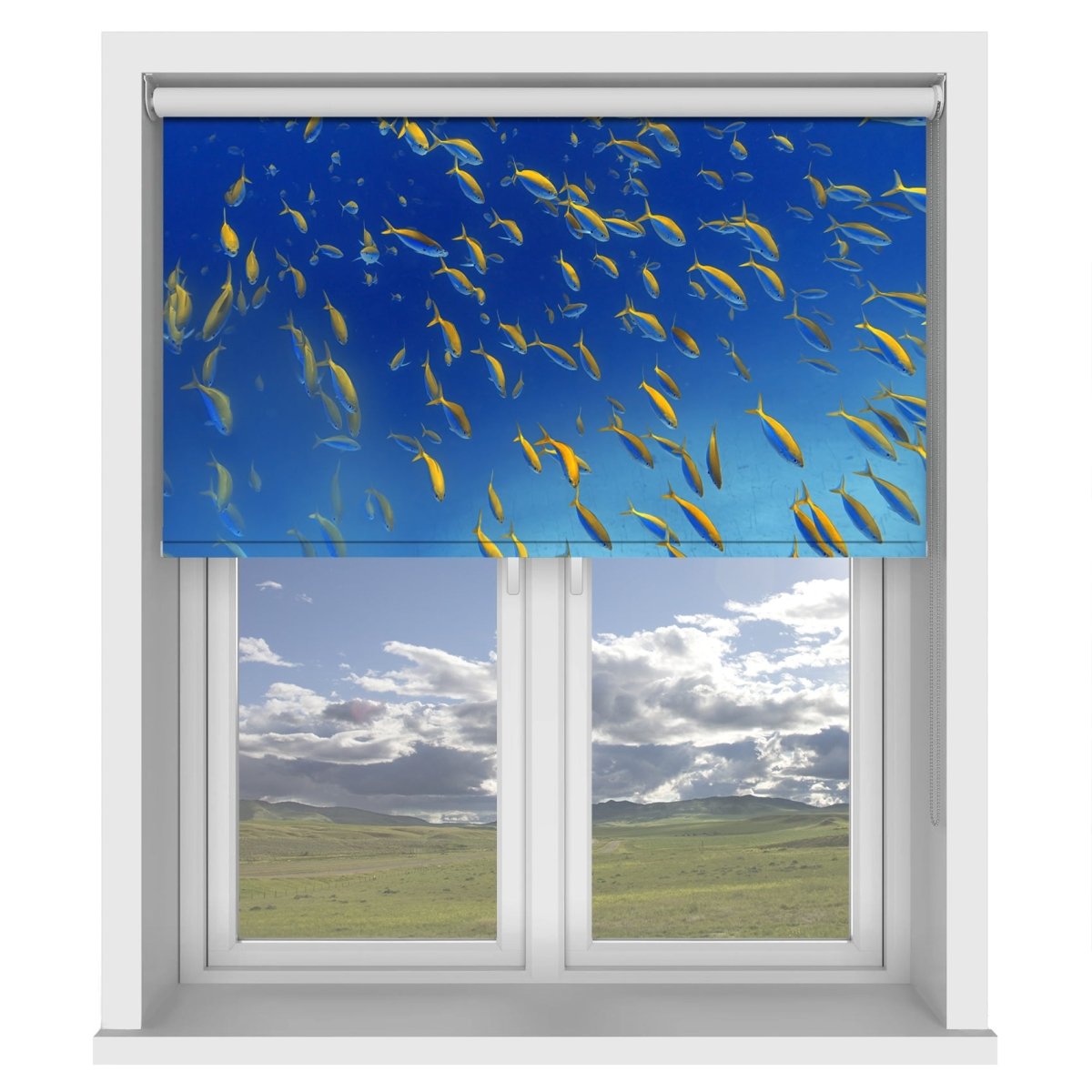 Fish Frenzy Printed Picture Photo Roller Blind - 1X2265801 - Art Fever - Art Fever