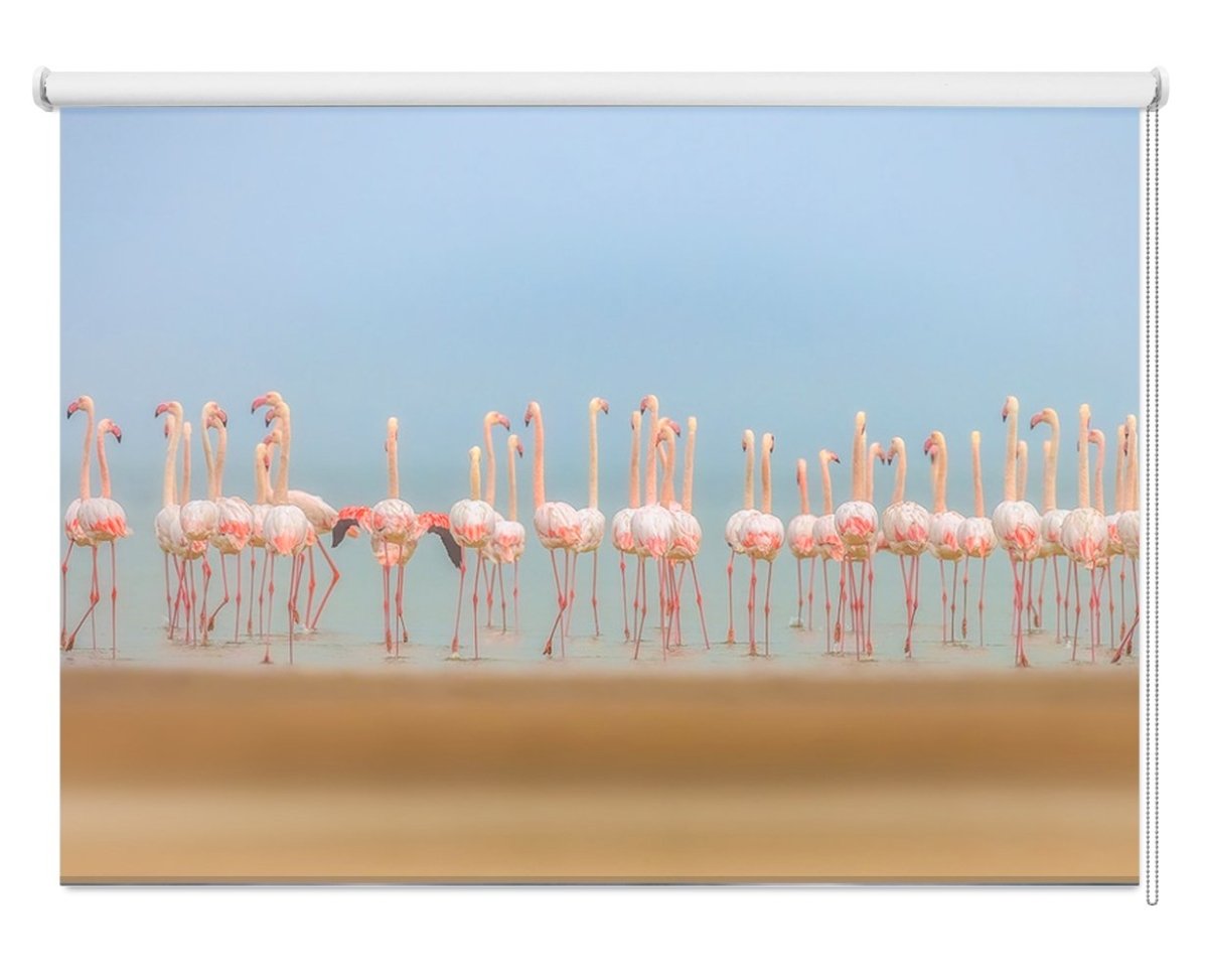 Flamingo Beach Printed Picture Photo Roller Blind- 1X1370258 - Art Fever - Art Fever