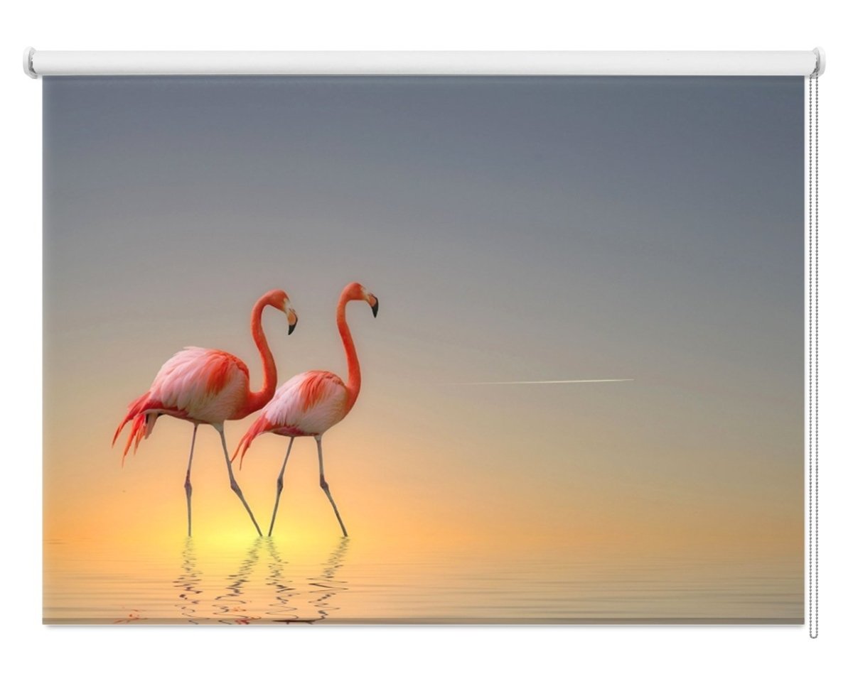 Flamingo Water reflection Printed Picture Photo Roller Blind - 1X192483 - Art Fever - Art Fever
