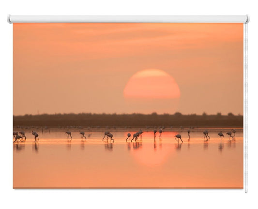 Flamingos At Sunrise Printed Picture Photo Roller Blind- 1X930319 - Art Fever - Art Fever