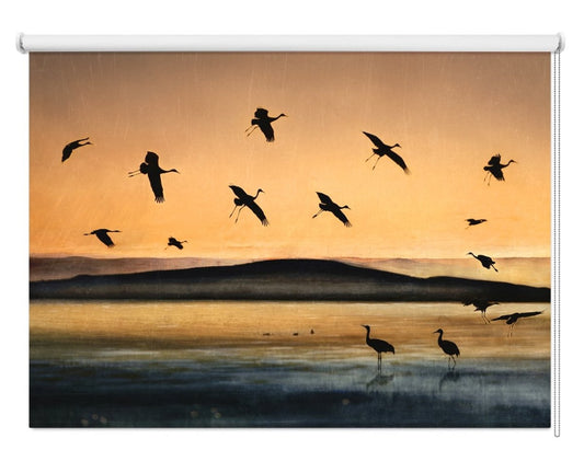 Fly-in At Sunset Printed Picture Photo Roller Blind- 1X474528 - Art Fever - Art Fever